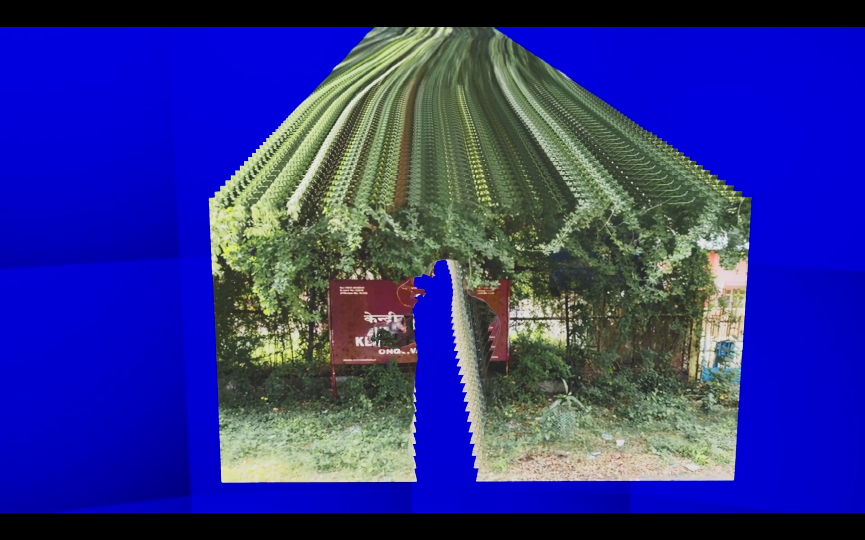 Half Image 2